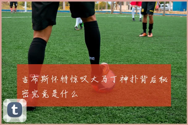 吉布斯怀特惊叹大马丁神扑背后秘密究竟是什么